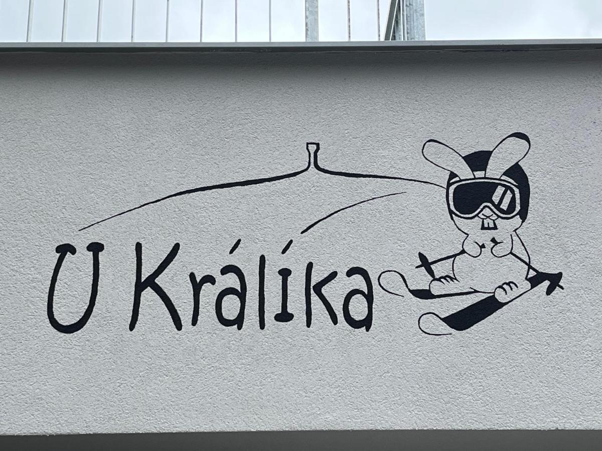 U Kralika, Apartman H, 3 Samostatne Loznice - Mezonet, Vlastni Parkovani, 50 Metru Od Vleku , Vysousece Bot V Lyzarne Dolní Morava Kültér fotó