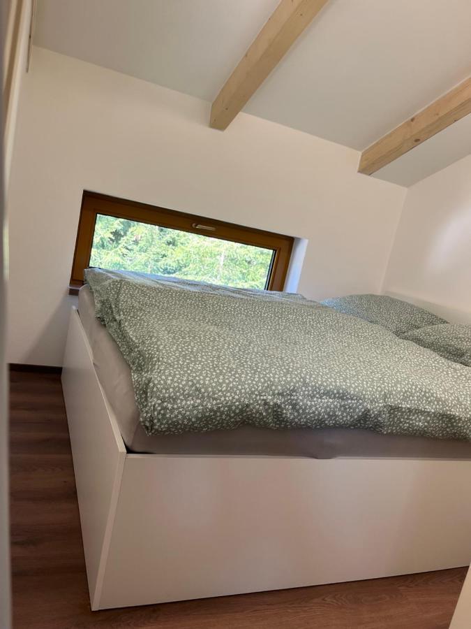 U Kralika, Apartman H, 3 Samostatne Loznice - Mezonet, Vlastni Parkovani, 50 Metru Od Vleku , Vysousece Bot V Lyzarne Dolní Morava Kültér fotó
