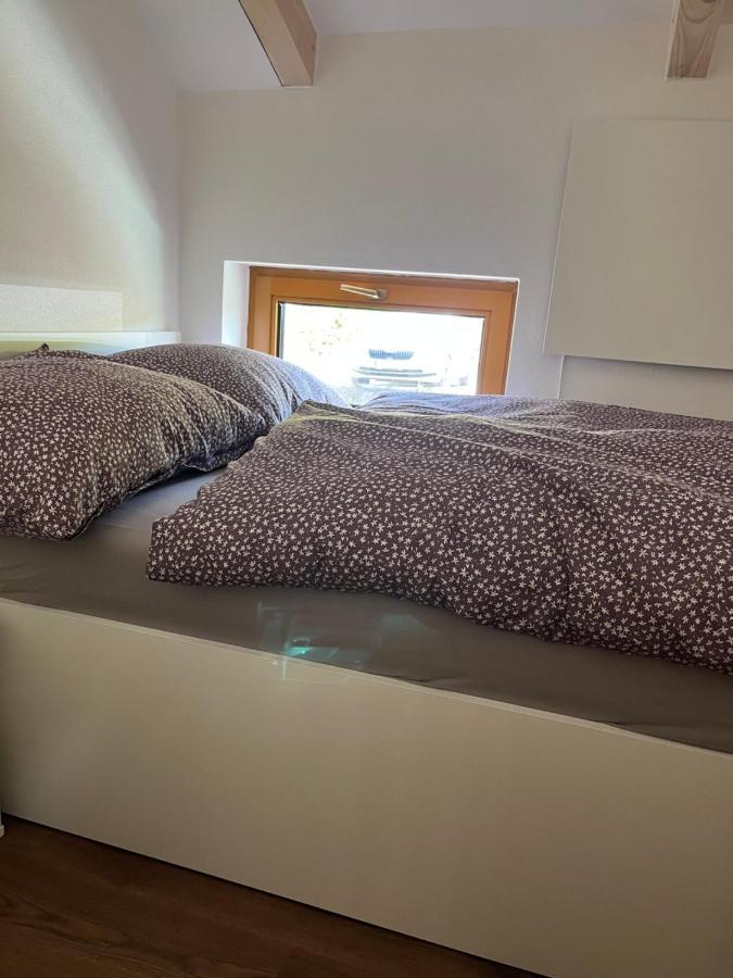 U Kralika, Apartman H, 3 Samostatne Loznice - Mezonet, Vlastni Parkovani, 50 Metru Od Vleku , Vysousece Bot V Lyzarne Dolní Morava Kültér fotó